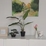 Chlebnicka 1 * Gdansk